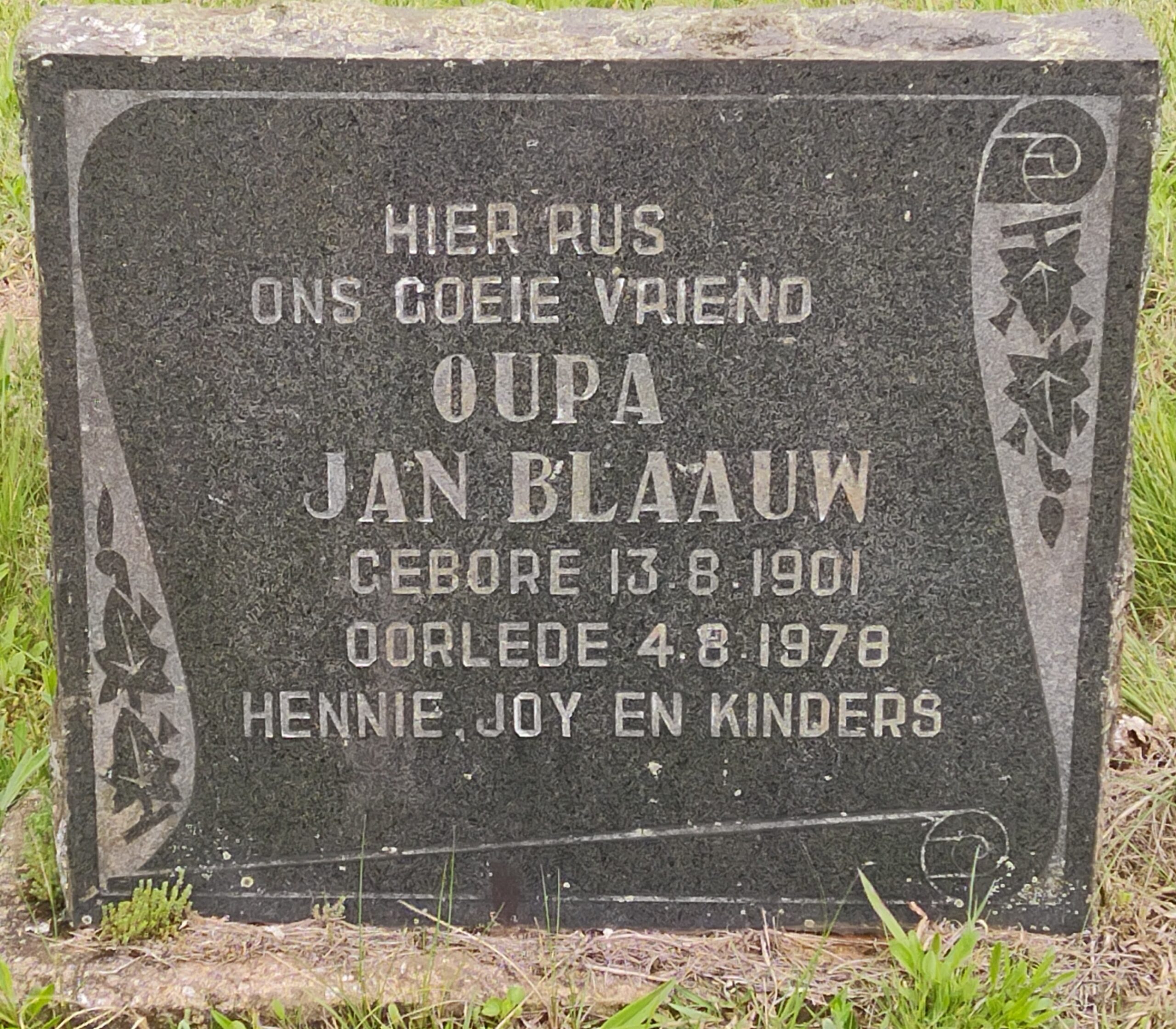 Head Stone - Blaauw