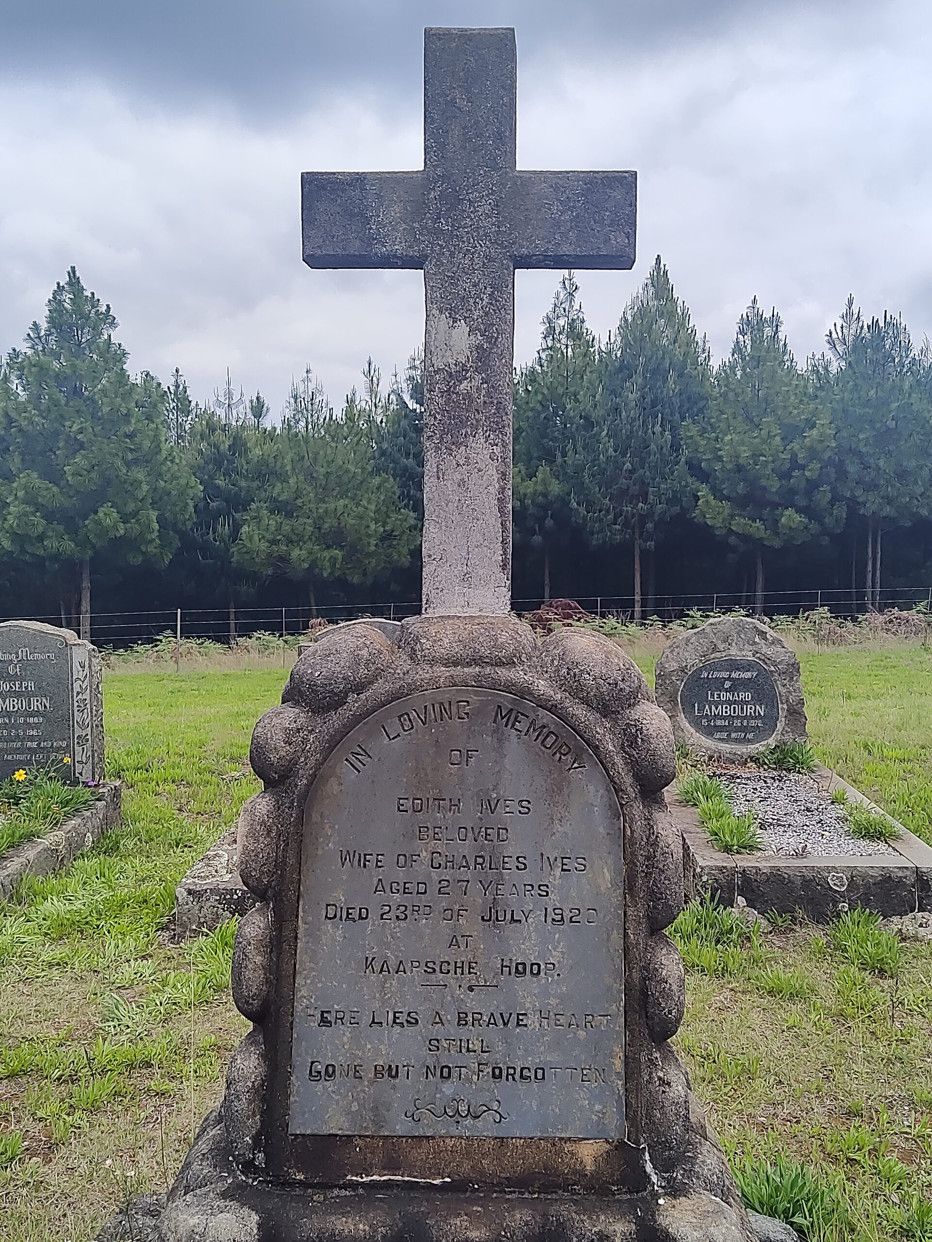 Head Stone - Ives